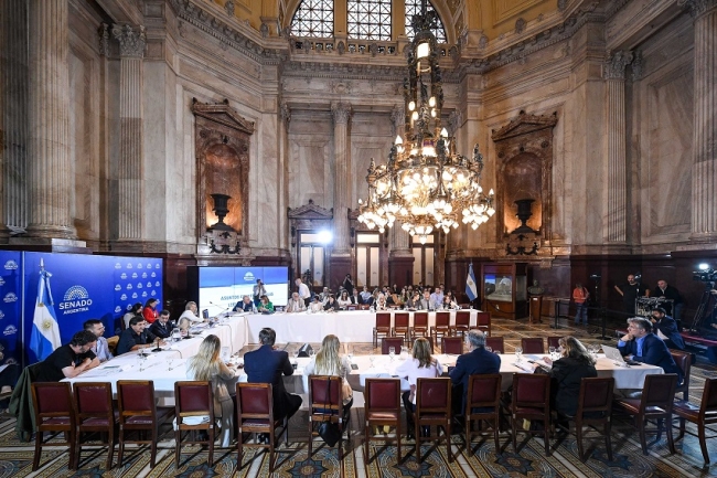 Debaten en el Senado el proyecto de Propiedad Privada