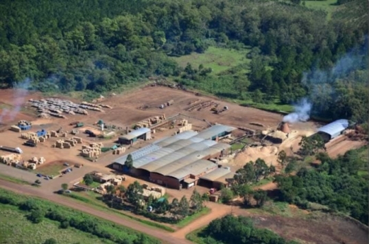 Misiones: Decretan la quiebra del aserradero Linor SRL y quedan sin trabajo 130 familias