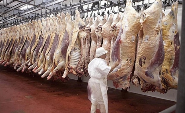 Rechazan cualquier modificación en el esquema de financiamiento del Instituto de Promoción de la Carne Vacuna Argentina
