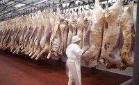Rechazan cualquier modificación en el esquema de financiamiento del Instituto de Promoción de la Carne Vacuna Argentina