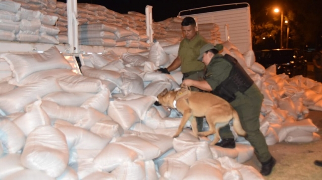 Gendarmería Nacional descubre 426 kilos de cocaína ocultos en un cargamento de porotos