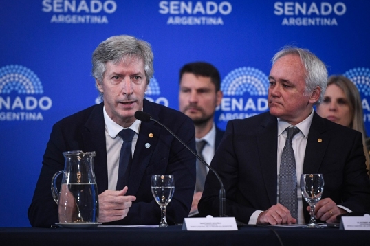 Senado: El bloque peronista acusó a Santiago Bausili, de mentir en la comisión