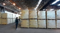 La Justicia ratificó que el Gobierno deberá presentar un plan de distribución y pidió sancionar a Grabois y Gianni