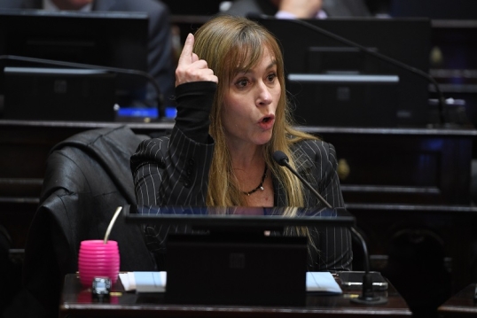 Senadores peronistas contra Milei por $Libra: “Es un estafador, cobró más de 5 millones de dólares”