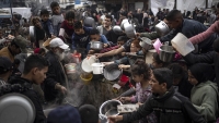 Franja de Gaza: La ONU informa que 1.760 palestinos fueron asesinados en 75 días por ir en busca de comida