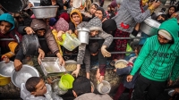 La ONU advierte una «explosión» de muertes de niños en Gaza por falta de alimentos