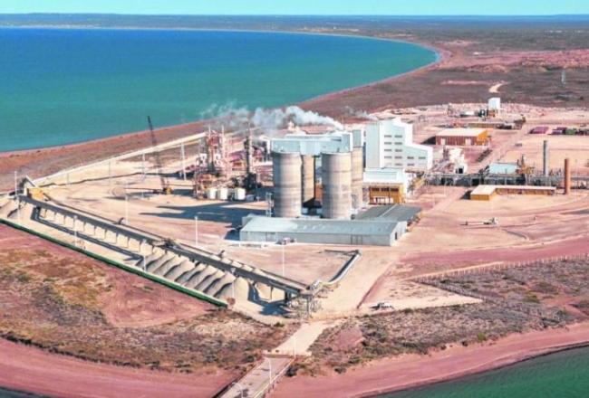 Río Negro: ALPAT, en crisis por la baja del consumo y la importación indiscriminada