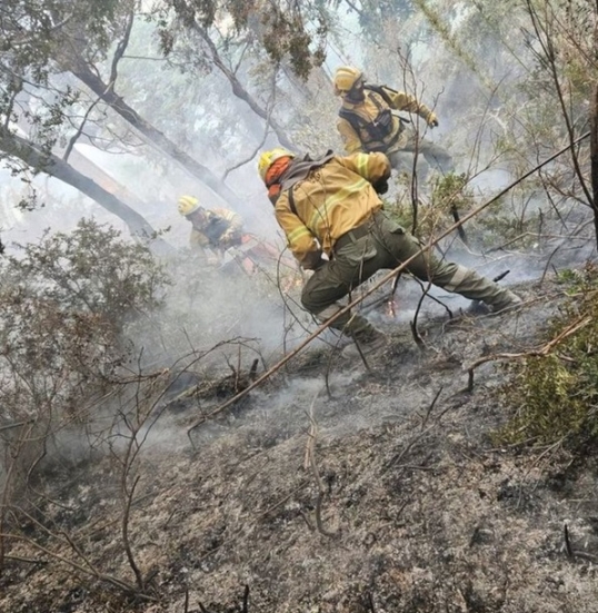Por el incendió en El Bolsón evacúan a 25 familias