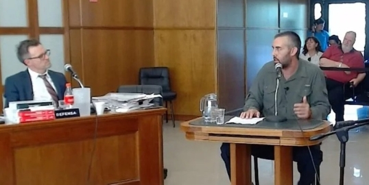Chubut: Piden 4 años de prisión para el empresario acusado de la muerte de 240 pingüinos