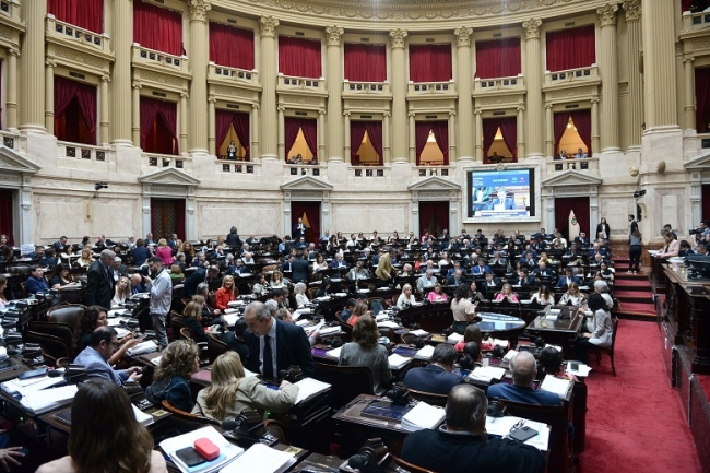 La Cámara de Diputados convirtió en ley la Boleta Única de Papel