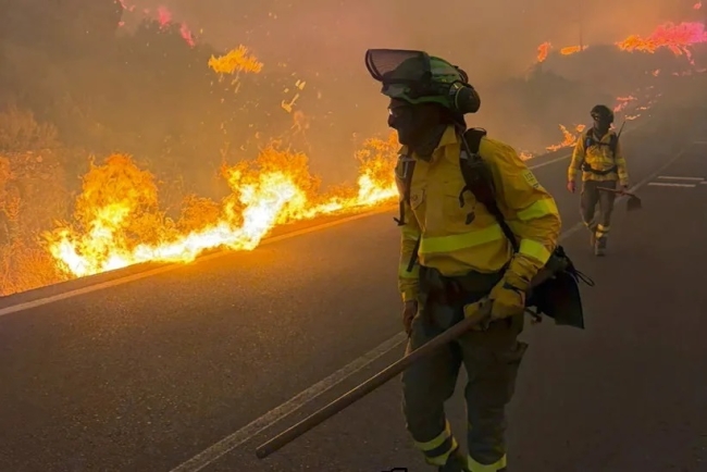 España: Los incendios forestales dejan al menos 11 muertos y 19 desaparecidos