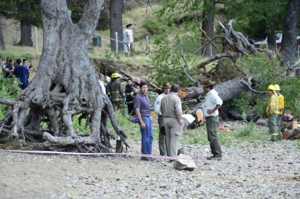 Neuquén: En San Martín de los Andes, dos niños murieron al caerse un árbol en un balneario