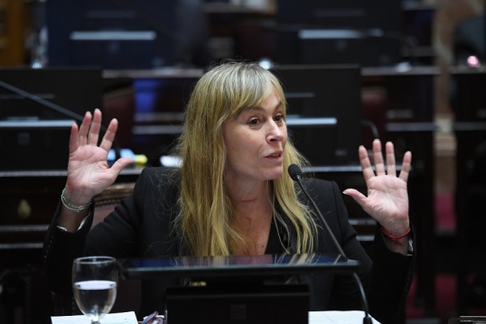 El Senado aprobó la Ley de Financiamiento Universitario