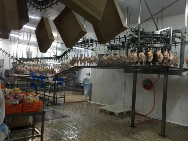 La empresa Granja Tres Arroyos pidió Procedimiento Preventivo de Crisis