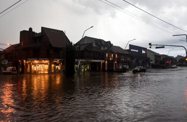 Temporal en Mar del Plata: Llovieron 55 milímetros y cayeron árboles y mampostería