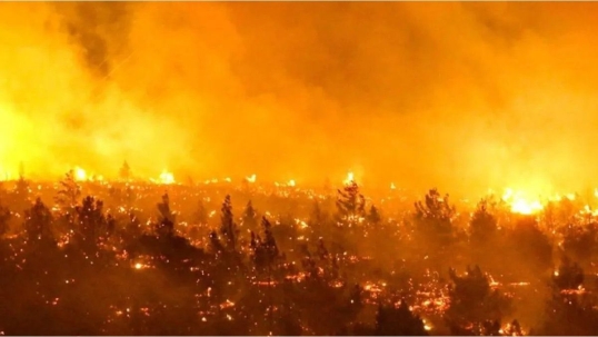 Chile: Los incendios forestales dejan al menos 18 muertos y más de mil viviendas afectadas