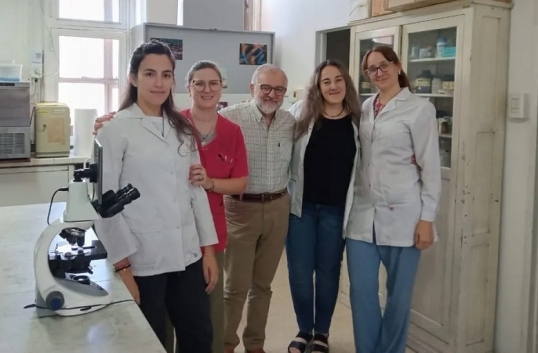 Córdoba: Investigan casos de leishmaniasis, enfermedad transmitida por un mosquito