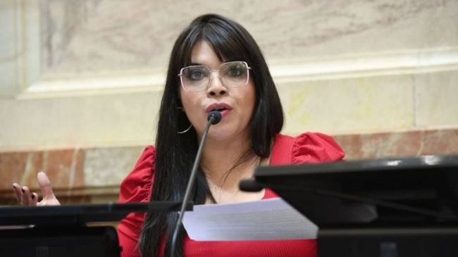 La senadora Eugenia Duré llamó a Javier Milei “antipatria, probritánico y anti-argentina”