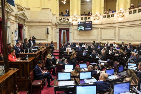 El Gobierno envió al Congreso las reformas a las leyes de Discapacidad y Salud Mental