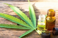 Cannabis medicinal: darán de baja 300 mil permisos del REPROCANN