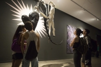 Todas las propuestas del Centro Cultural Recoleta