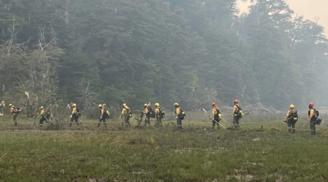 Incendio en Bariloche: Las llamas consumieron más de 1400 hectáreas de bosque nativo