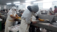 Río Negro: Cierra una pesquera en San Antonio Oeste y quedan en la calle cerca de 90 trabajadores